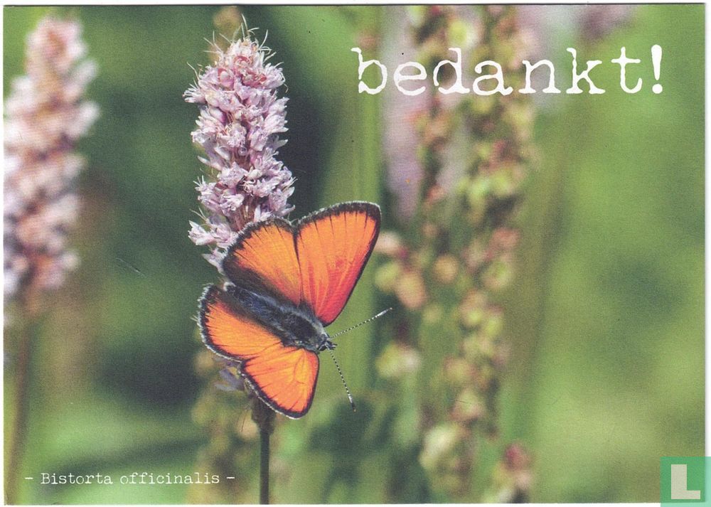 Bedankt!