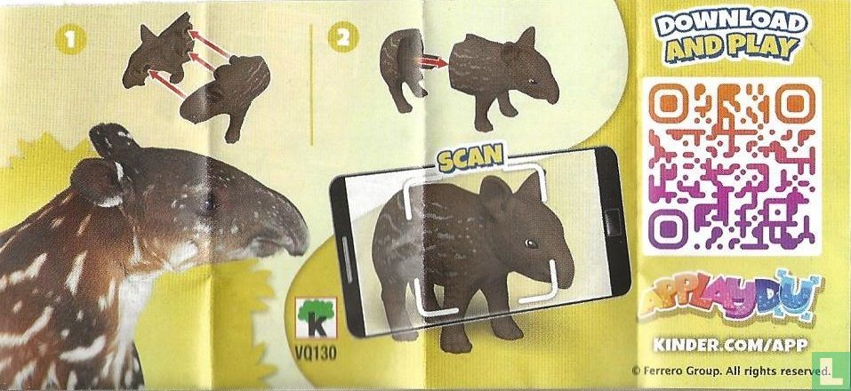 Tapir