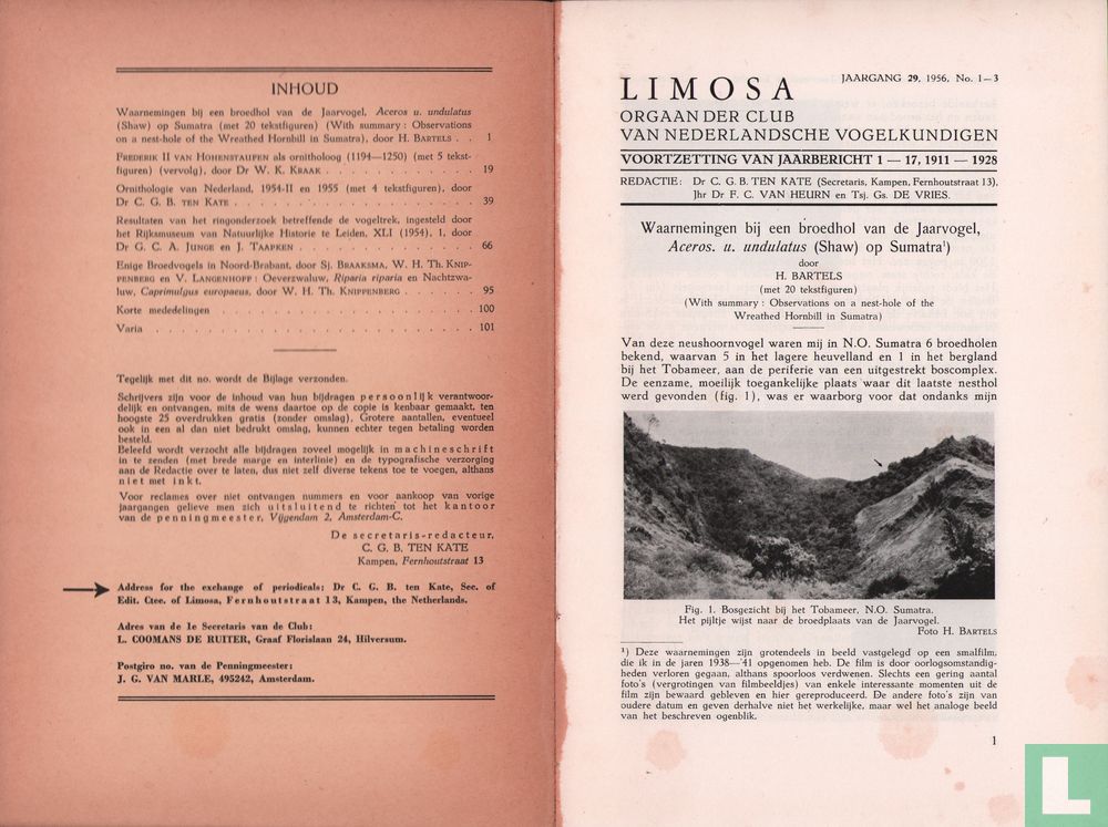 Limosa 1 - 3