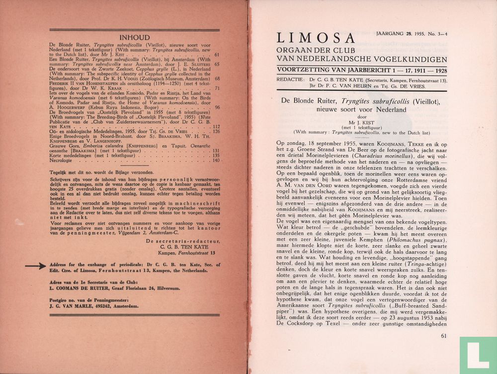Limosa 3 - 4
