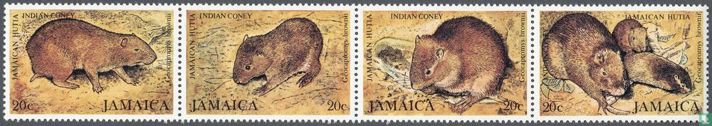 Native animals