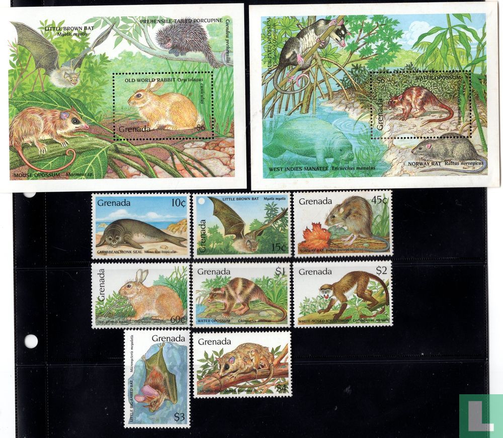 The Fauna