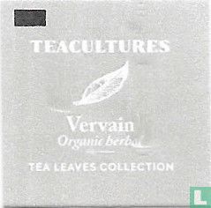 Vervain