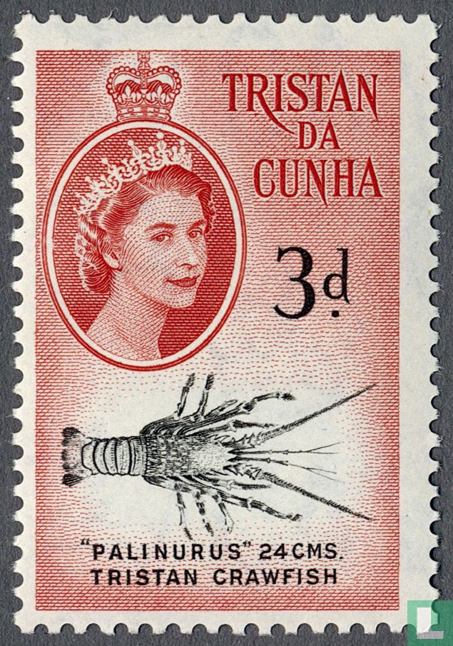 Tristan crawfish