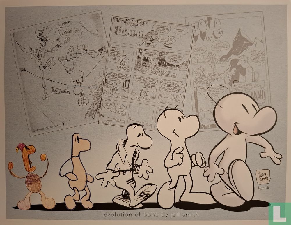 Evolution of Bone