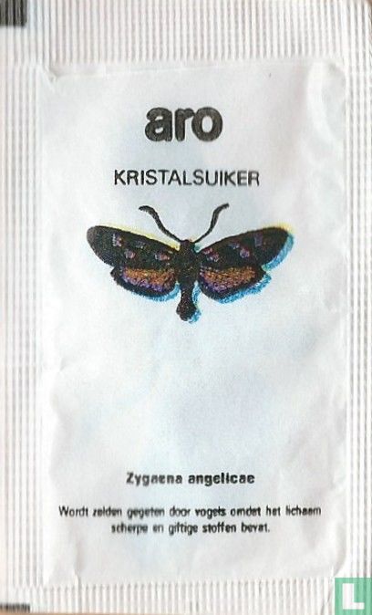 Zygaena angelicae