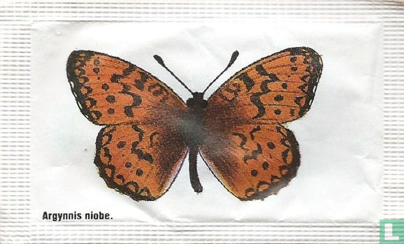 Argynnis niobe