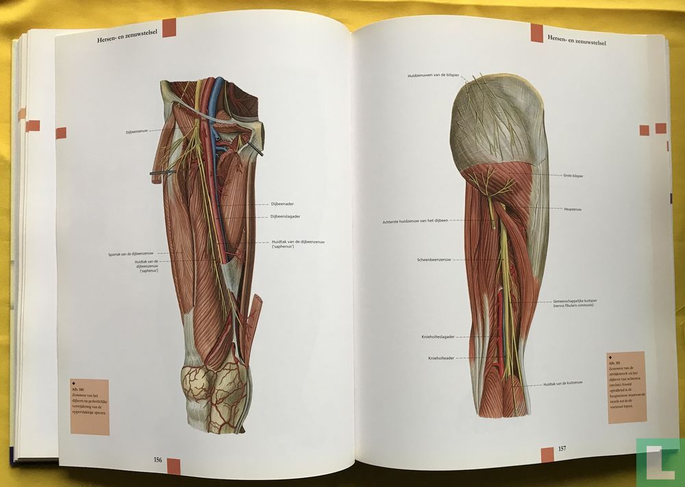 Atlas van de anatomie (2009) - Anatomie - LastDodo