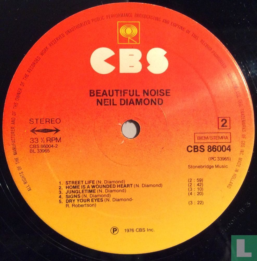 Beautiful Noise