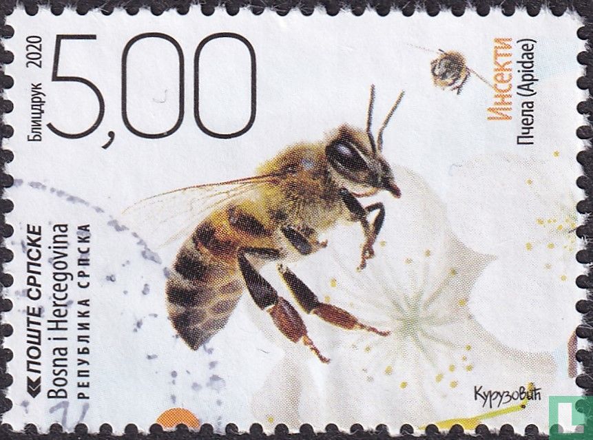Abeilles