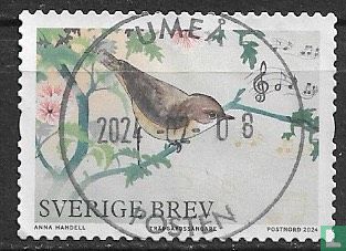 Oiseaux de printemps