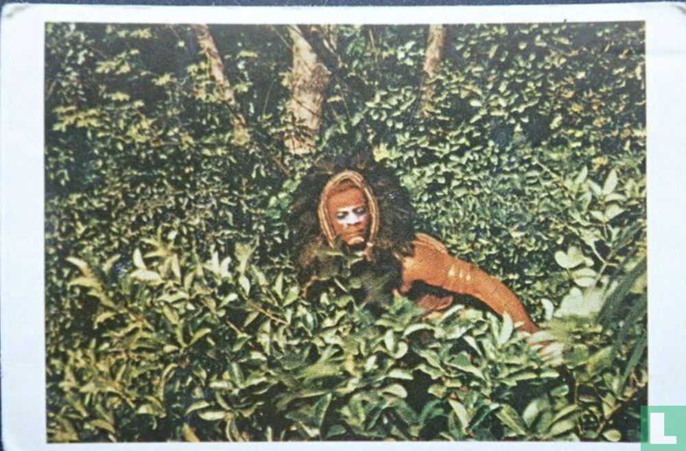 Tarzan