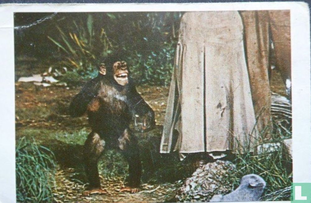 Tarzan