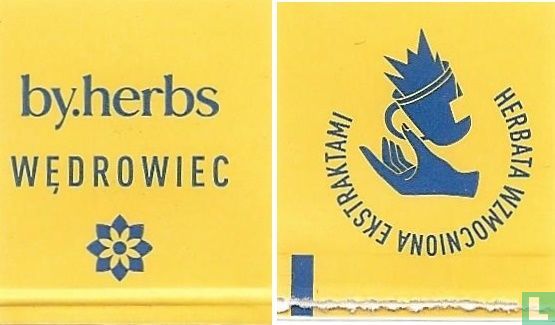 Wedrowiec