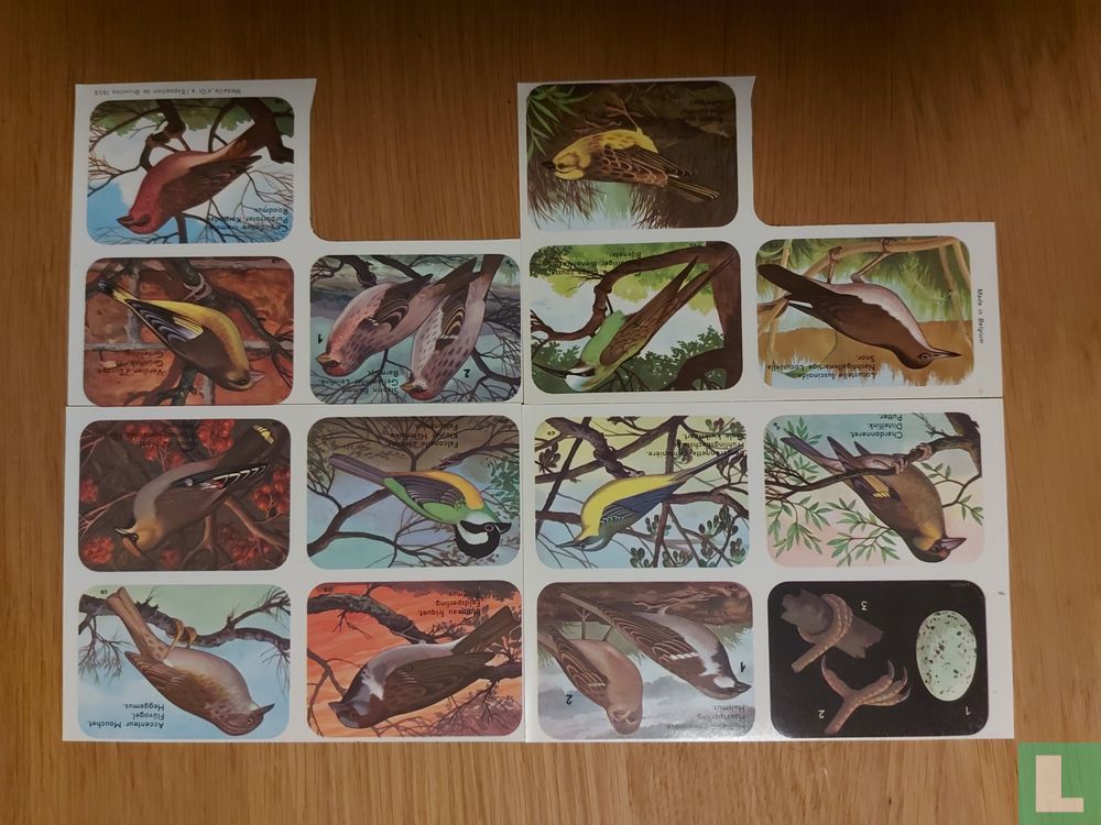 Editions Stemma Uitgaven N° 156