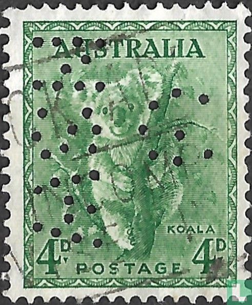 Koala