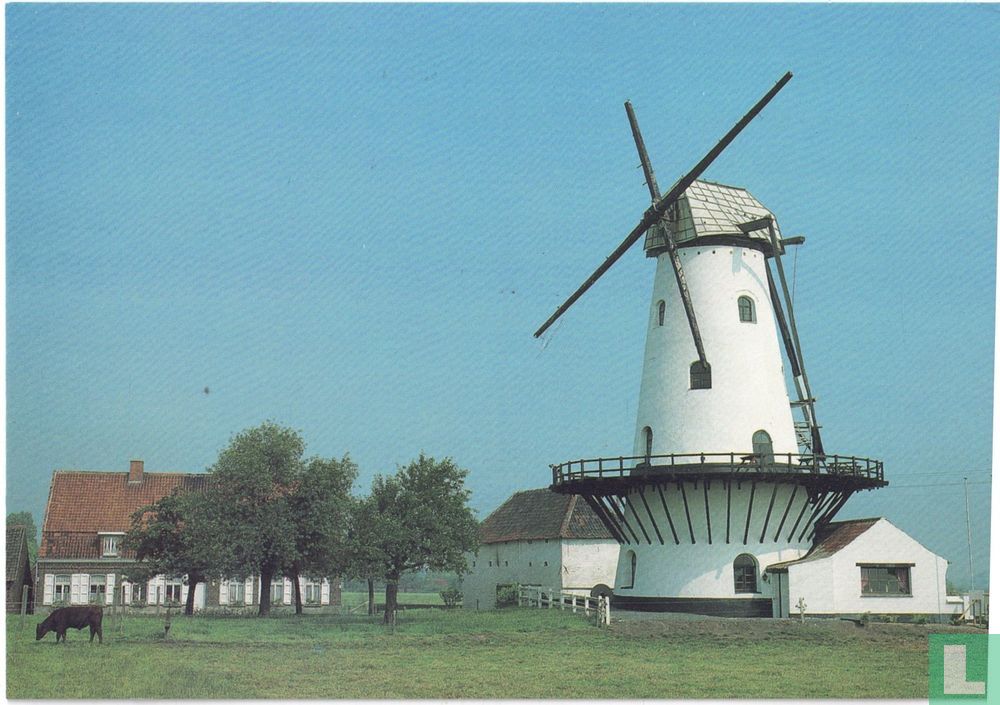Mevrouw Molen