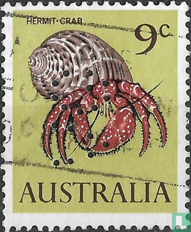 Heremietkrab