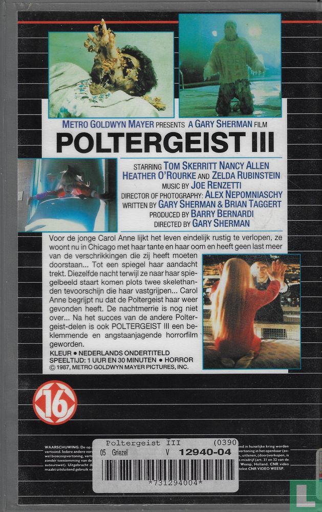 Poltergeist III