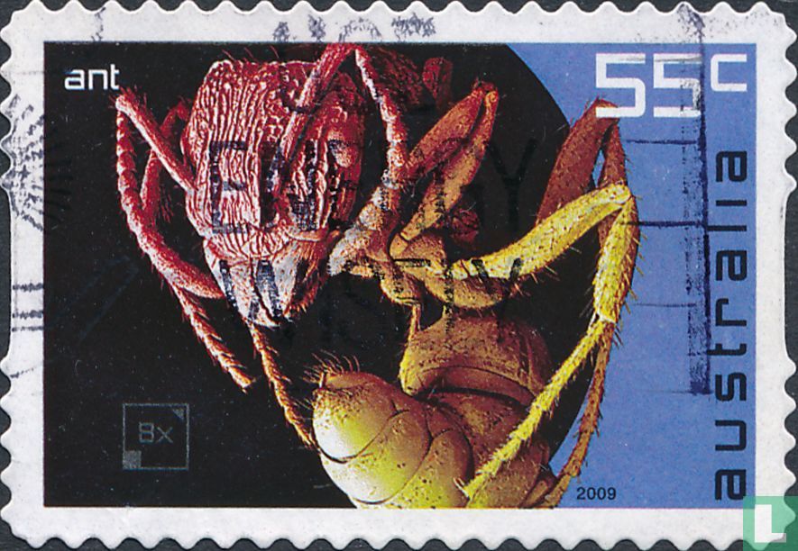 Insecten (zelfklevend)