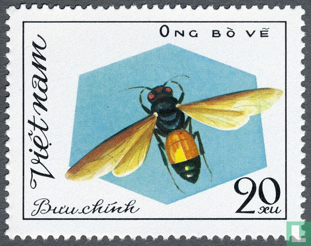 Bees and Wasps