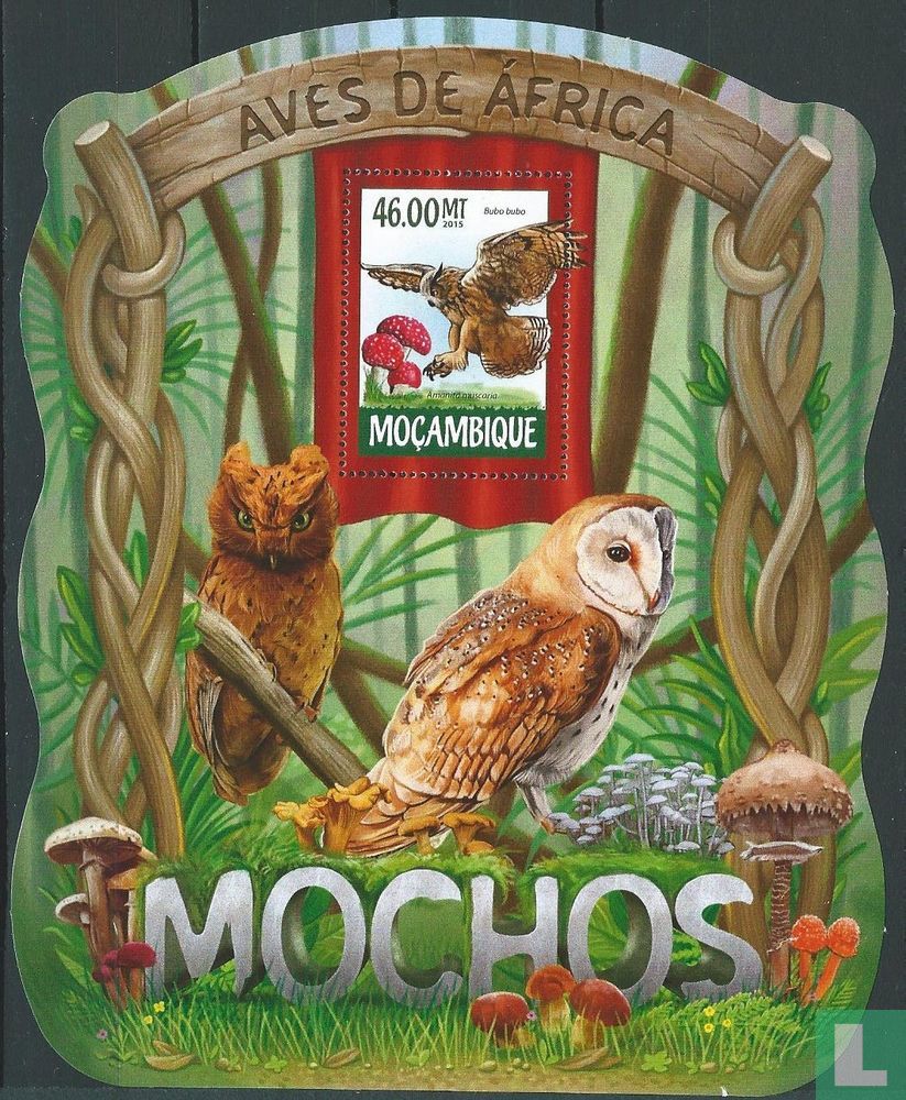 Owls