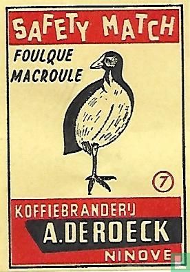 Foulque macroule - meerkoet