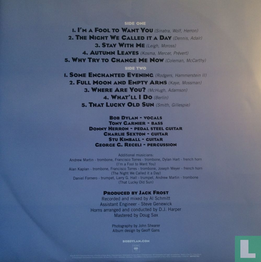 Shadows in the Night