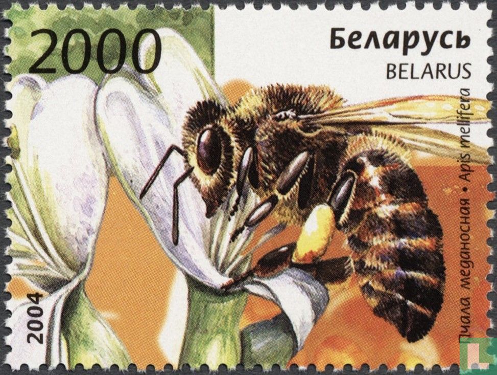 Nuttige insecten