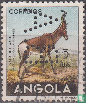 Antilope