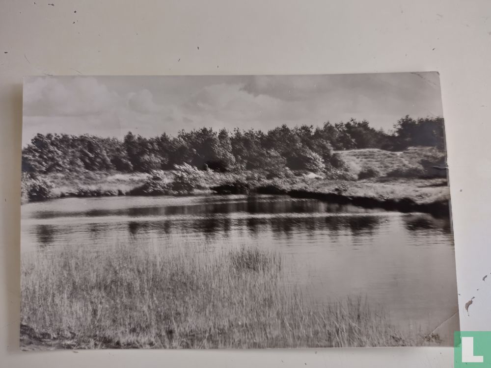 Roden, veenplas
