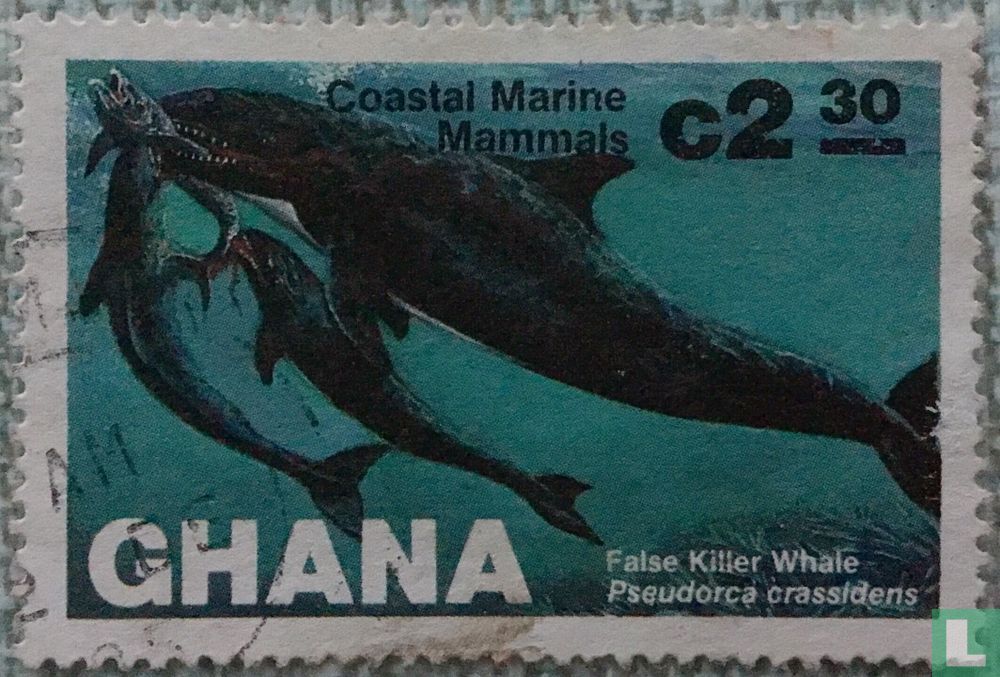 Whales