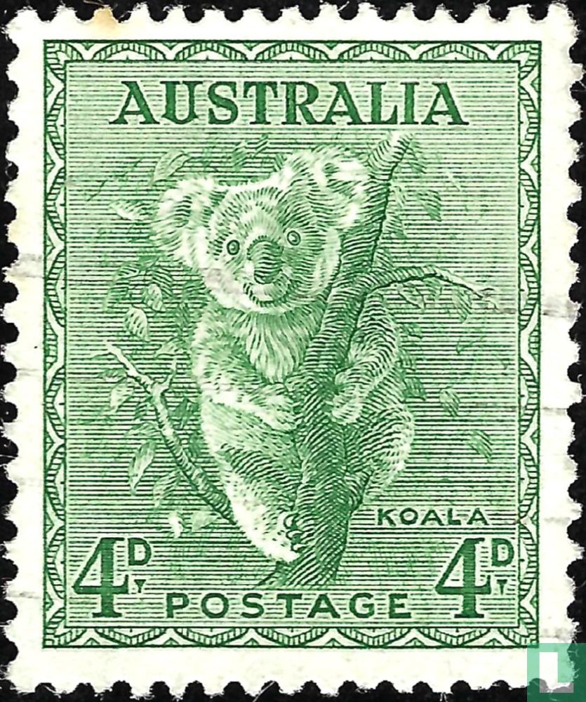 Koala
