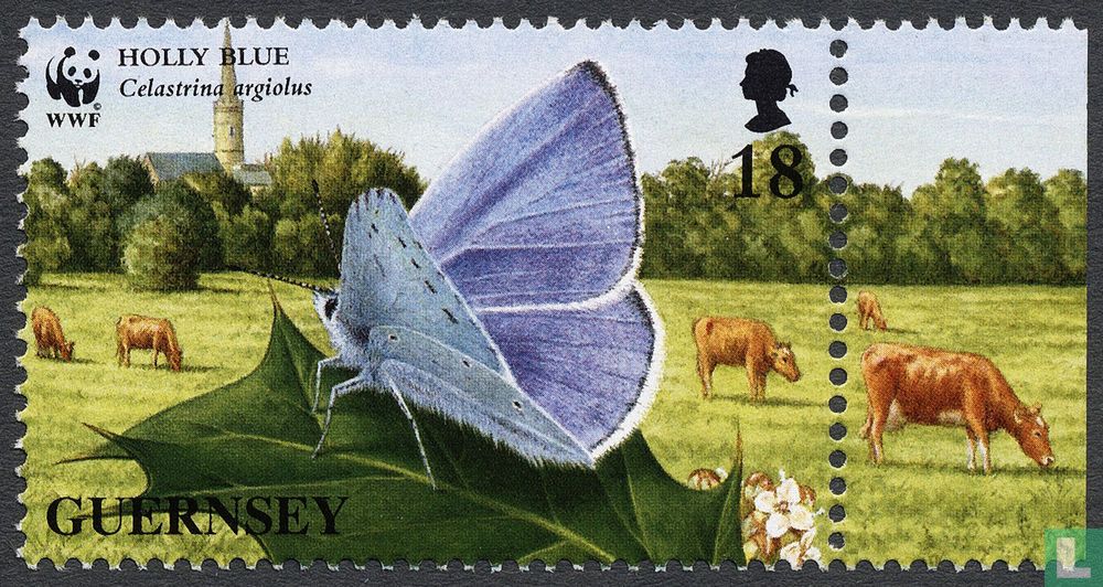 Butterflies