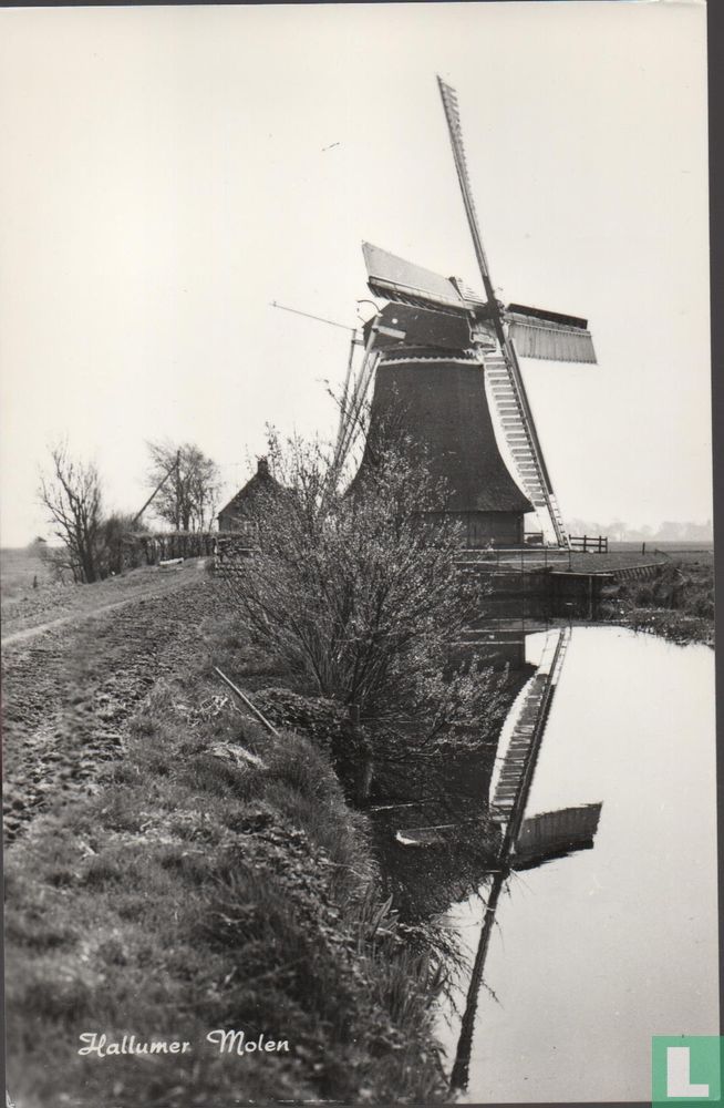 Hallumer Molen