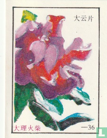 Bloemen