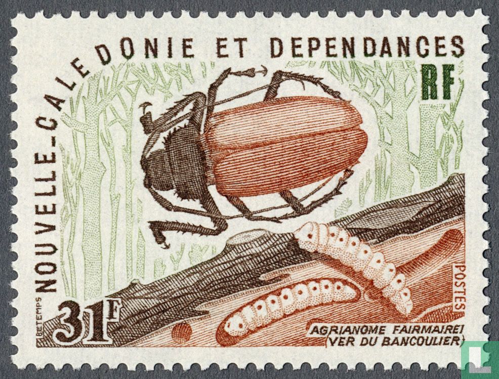 Insects