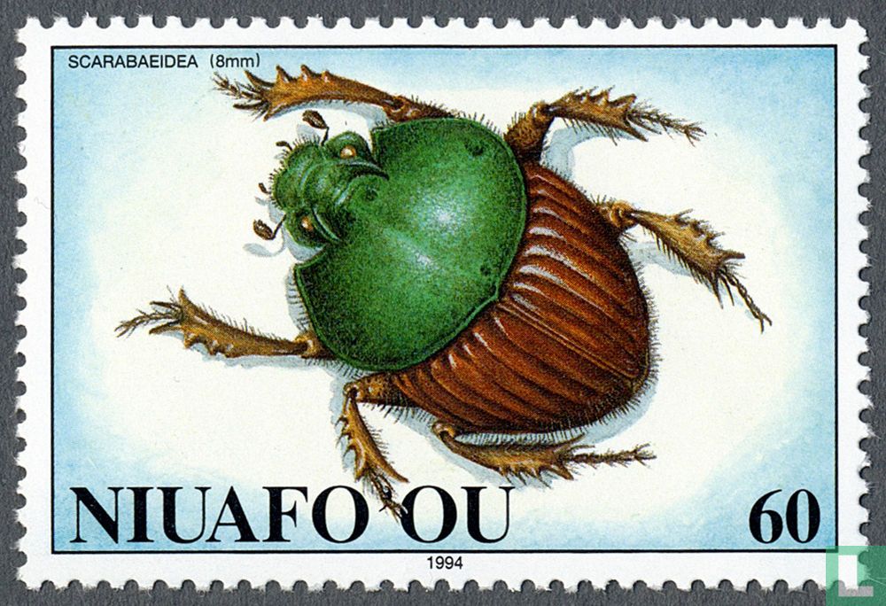 insects