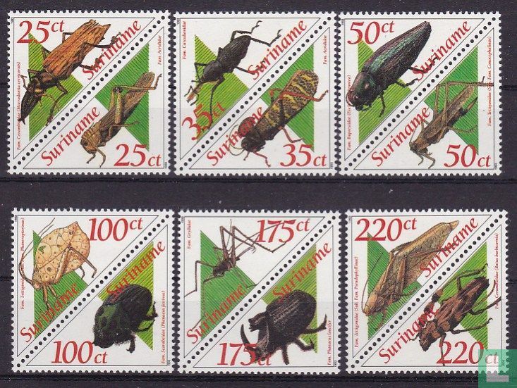Beetles and bugs