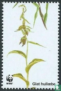 Deense orchideeën