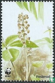 Deense orchideeën