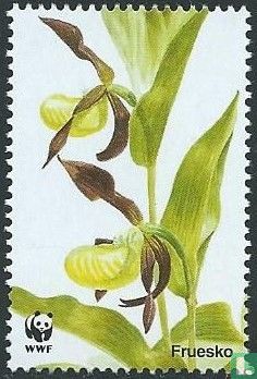 Deense orchideeën