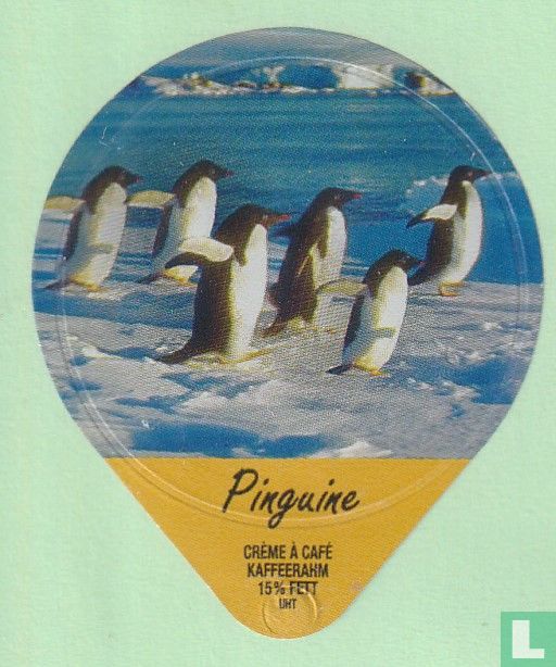 Pinguine 29