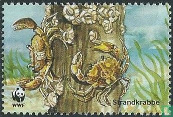 WWF Denemarken