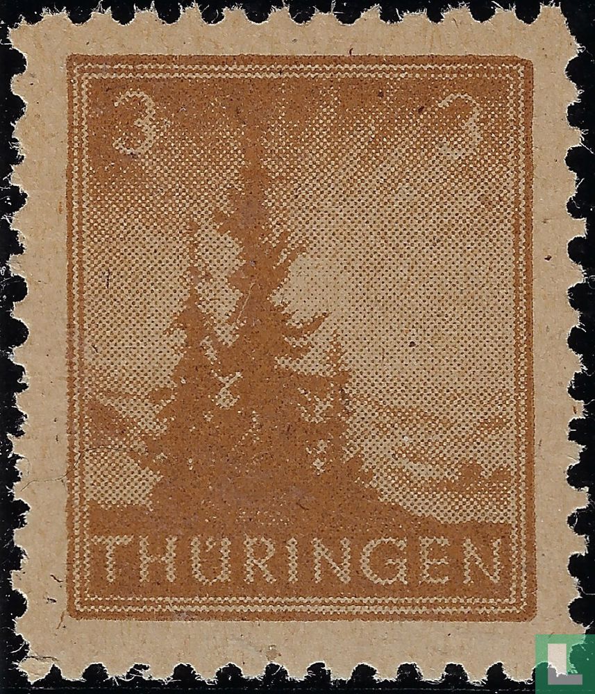 Kiefern