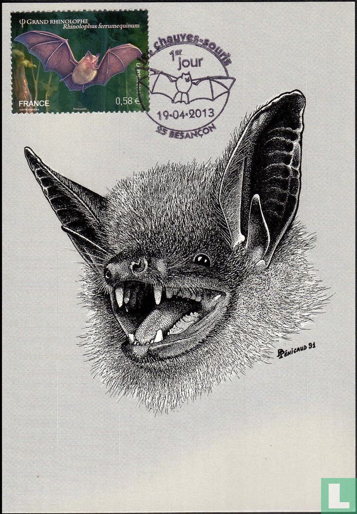 Bats