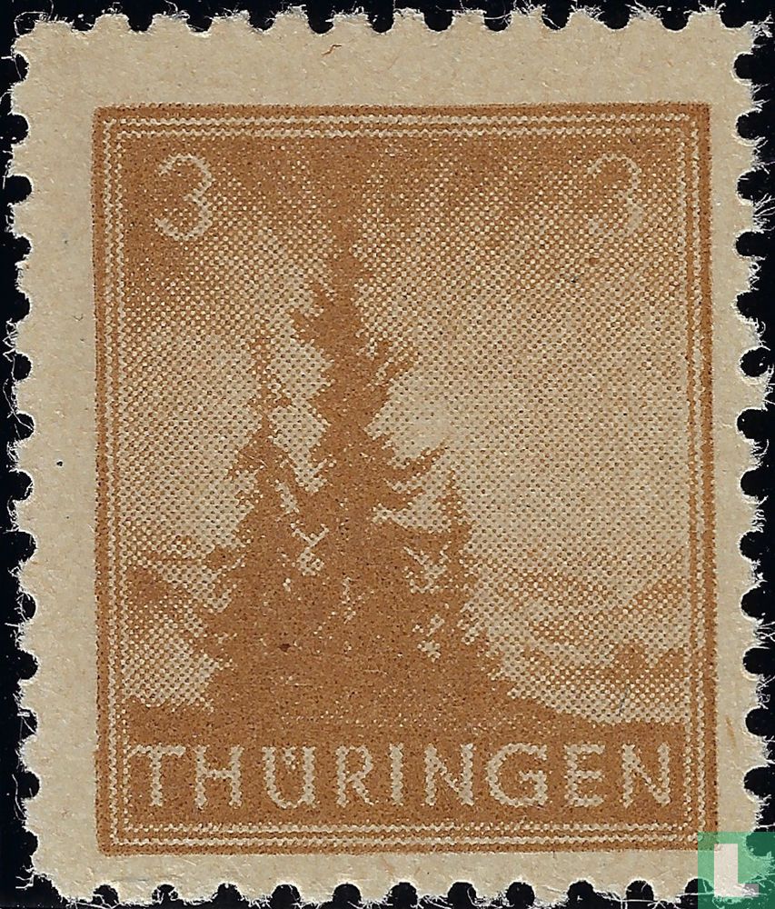 Dennenbomen