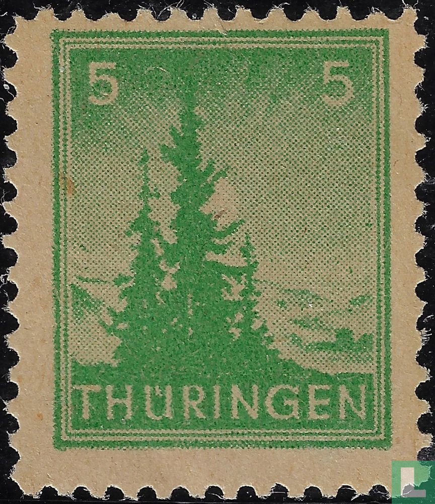 Dennenbomen