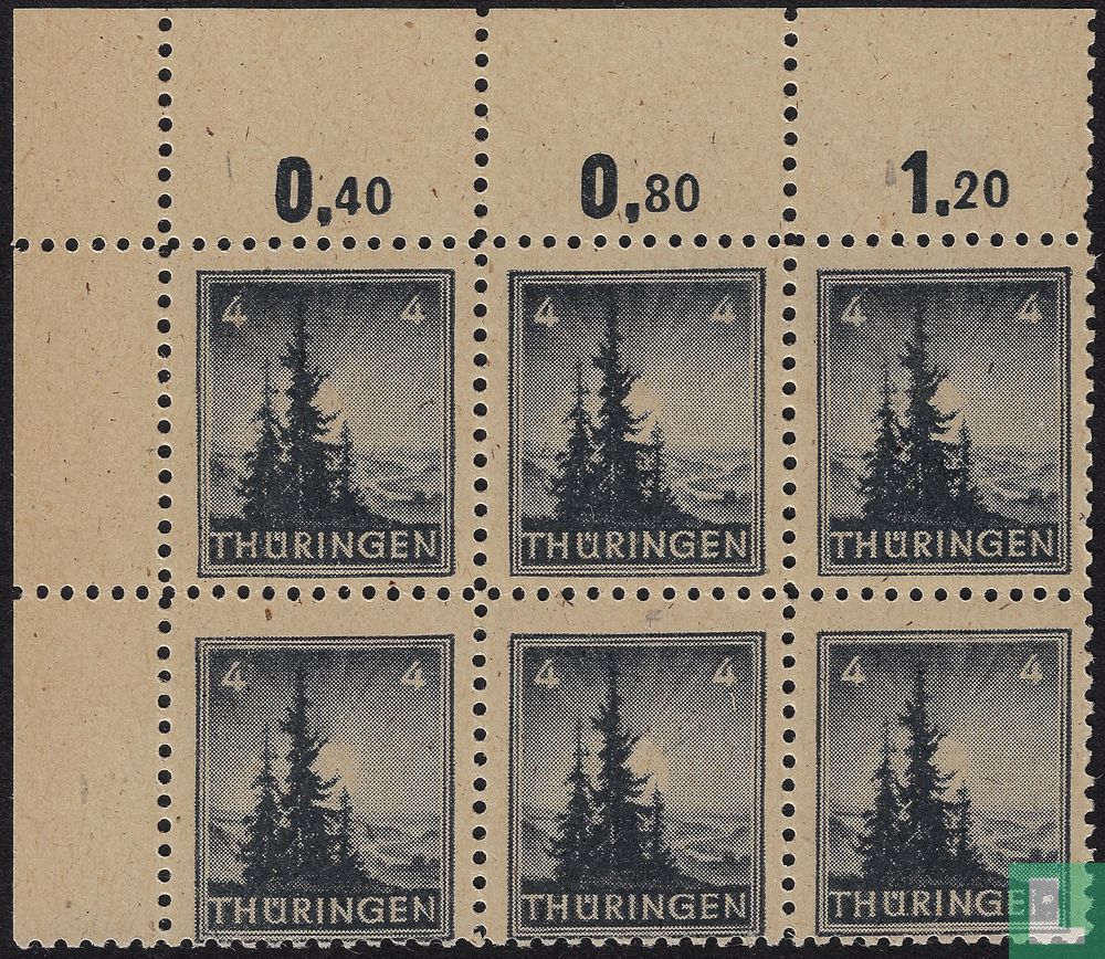 pine trees