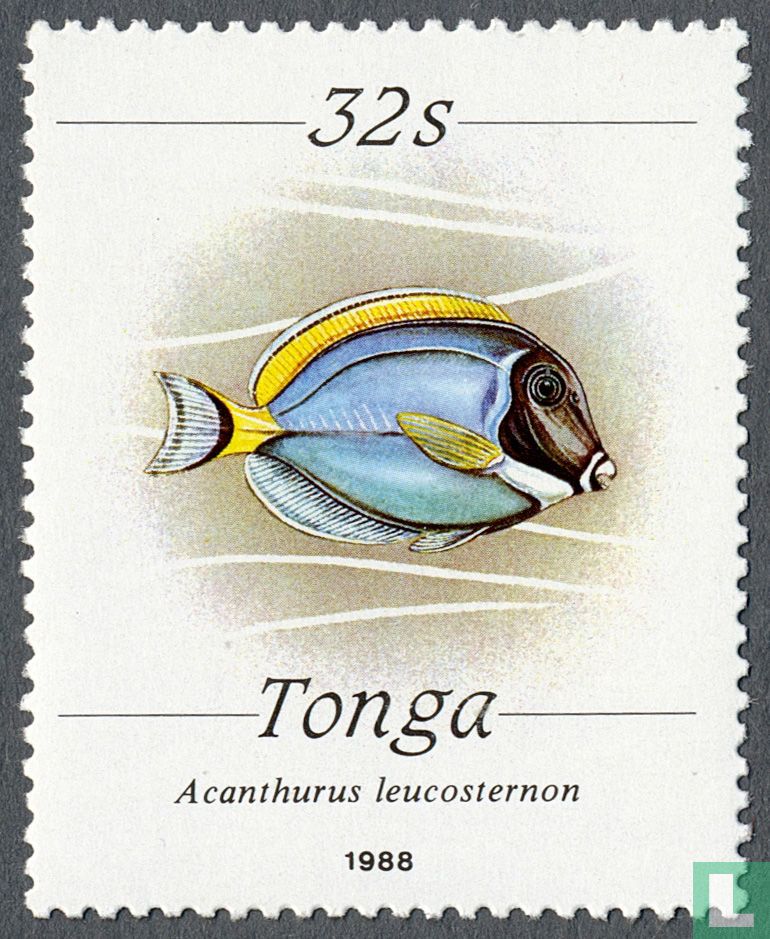 Zeedieren